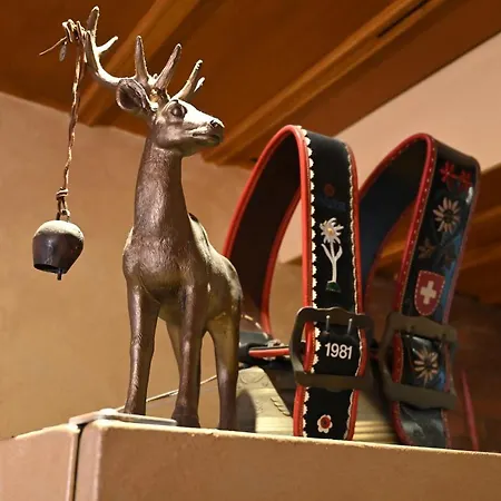 Backpackers Glocke Hostel Berno