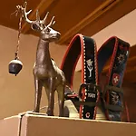 伯尔尼钟楼背包客旅舍 旅馆 伯尔尼